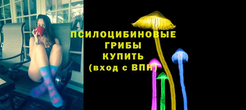 Псилоцибиновые грибы прущие грибы  omg вход  Ефремов 